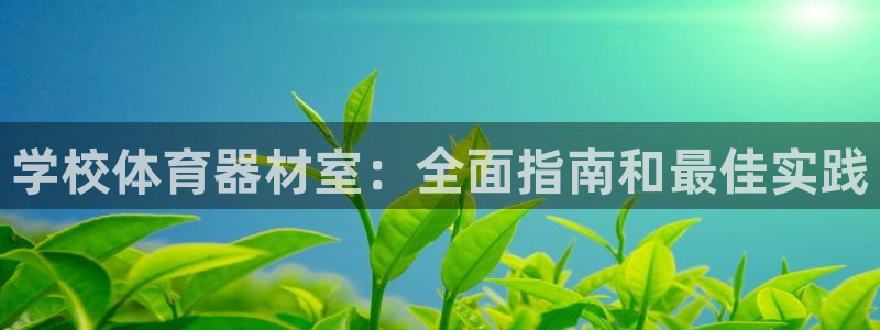 耀世而生什么意思：学校体育器材室：全面指南和最佳实践