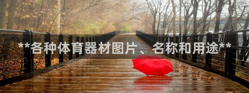 耀世平台下载:**各种体育器材图片、名称和用途**